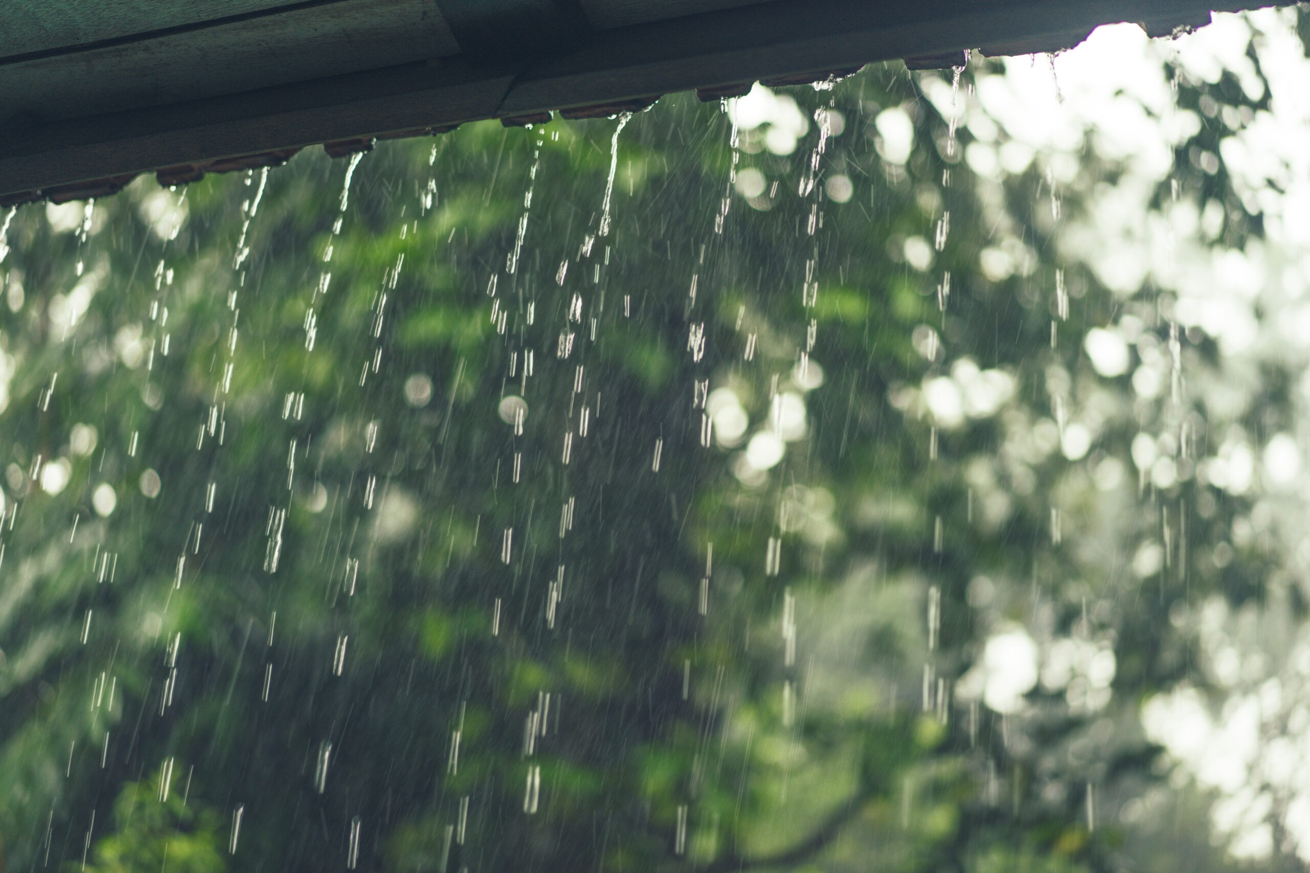 temporada de lluvia